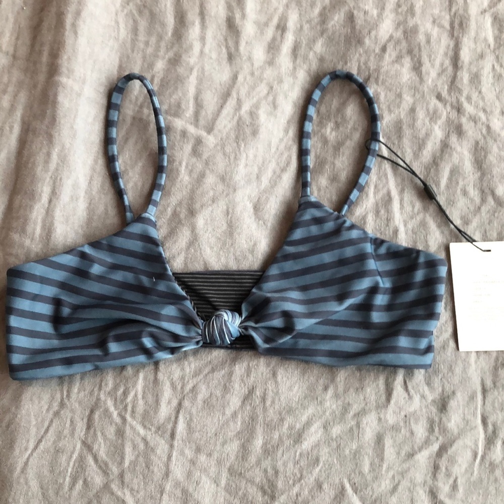 Acacia paupers top size P color fin